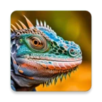 Logo of Iguana Wallpaper android Application 